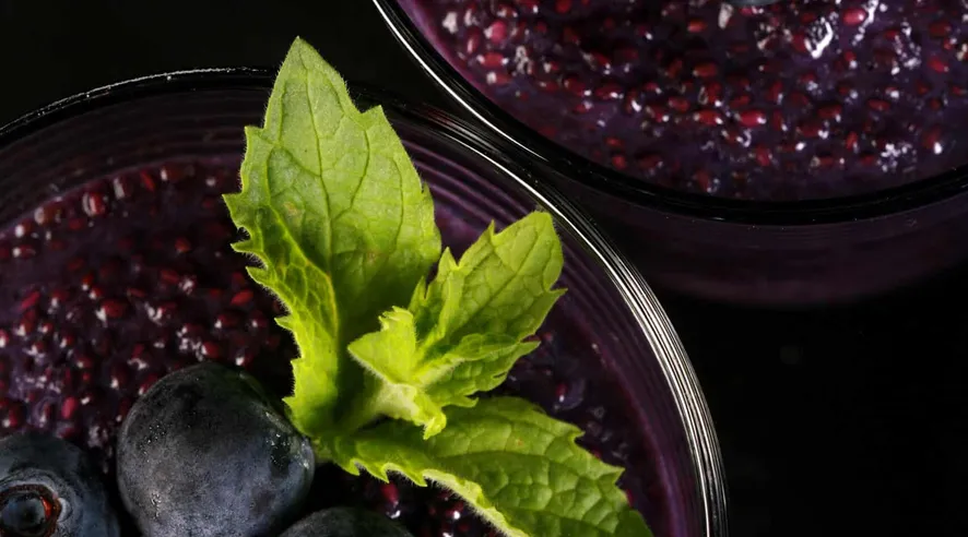 Blueberry chia pudding diet friendly